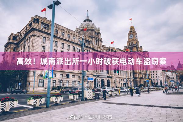 高效!城南派出所一小时破获电动车盗窃案