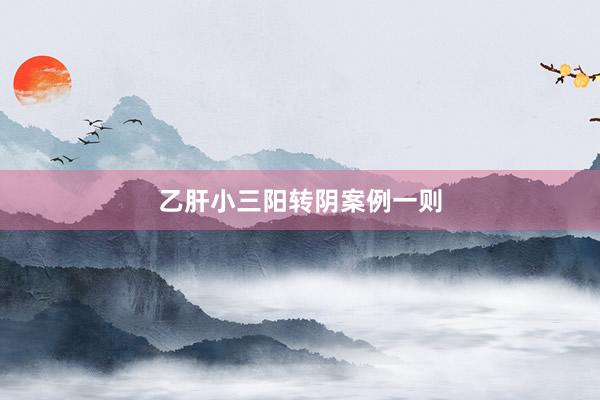 乙肝小三阳转阴案例一则