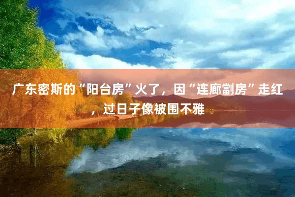 广东密斯的“阳台房”火了，因“连廊劏房”走红，过日子像被围不雅