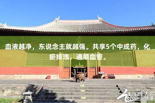 血液越净，东说念主就越强。共享5个中成药，化瘀排浊，通顺血管。