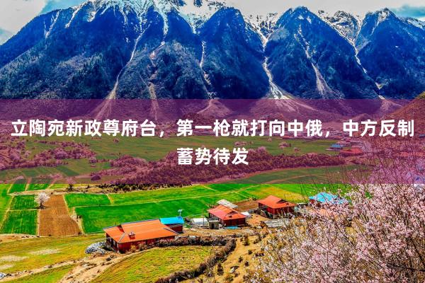 立陶宛新政尊府台，第一枪就打向中俄，中方反制蓄势待发