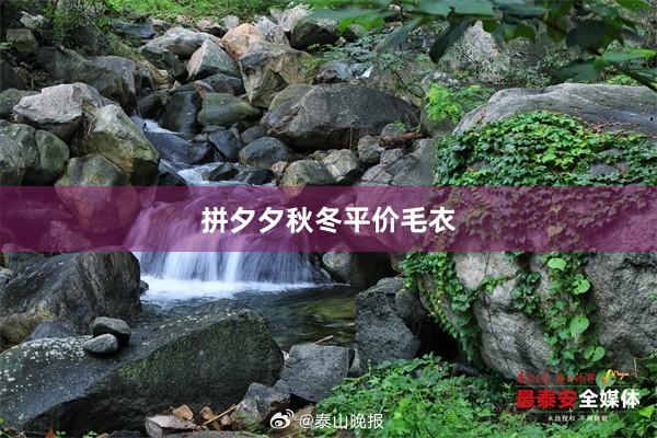 拼夕夕秋冬平价毛衣
